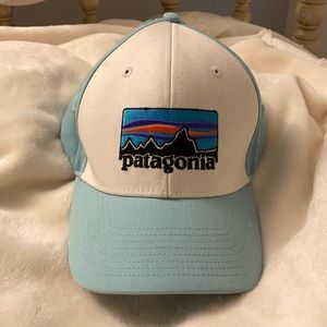 Patagonia Trucker Hat